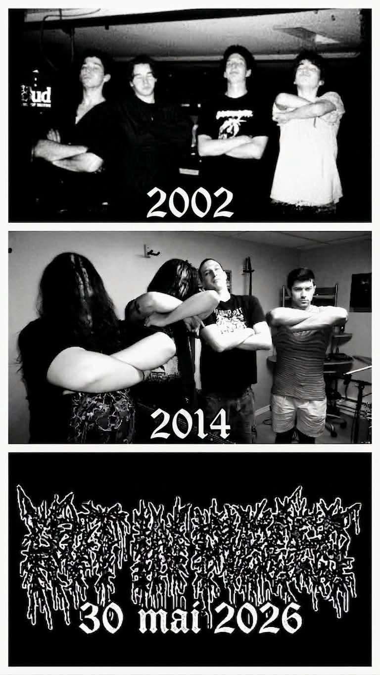 Rot In Pieces 2002 / 2014